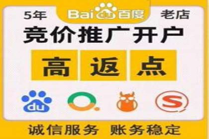 百度搜索推广案例集锦：实战技巧与策略解析